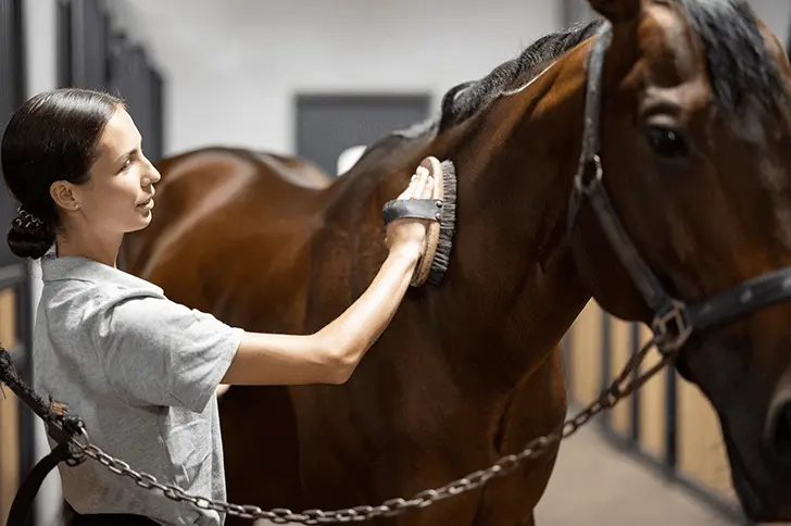 HorseOss logo, Explore equine services on HorseOss, Join HorseOss today