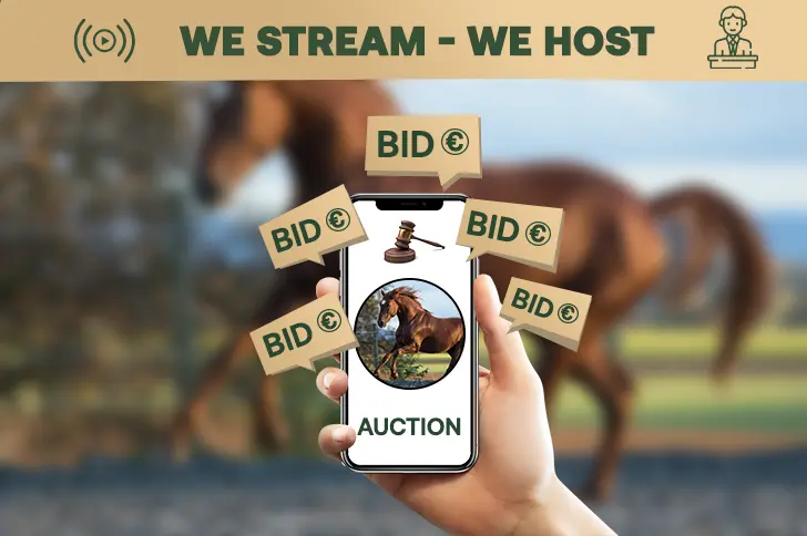 Explore Our Innovative Platform for equine services